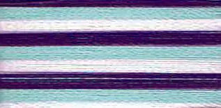 9302 Floriani Thread 40 weight 1000M - VARITHREAD WILDBERRY