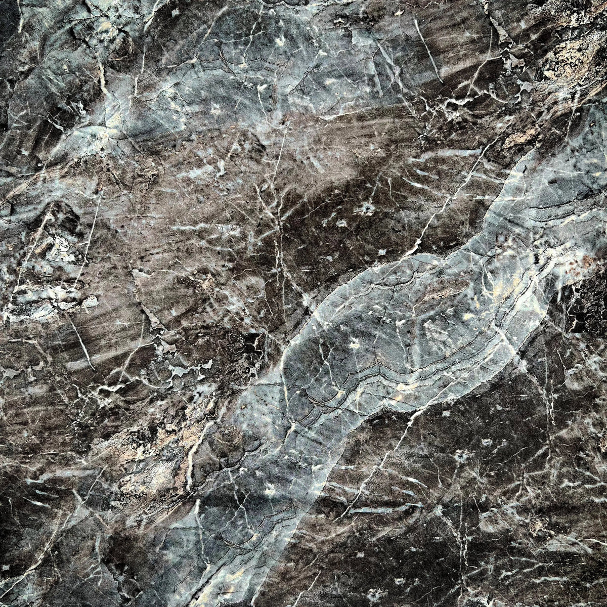 Black Surfaces Cotton Wideback Fabric Per Yard