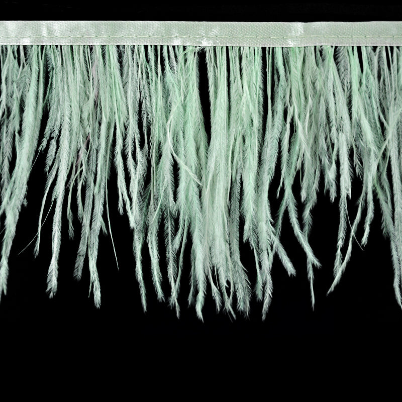 Belagio Enterprises - 6-inch Ostrich Feather Trim (11 Yard Bolt) - B-1139-14 Mint