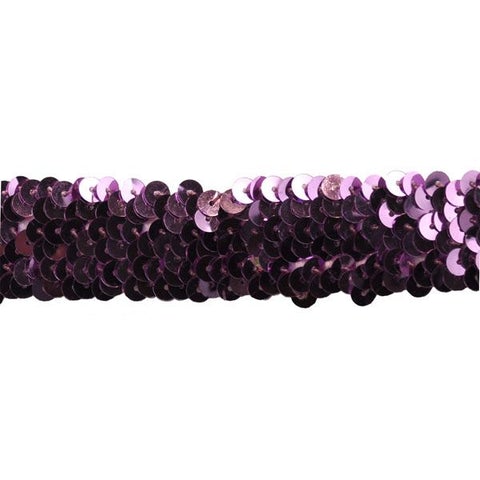 Sequin Trim 1-Inch Wide Polyester Stretchable Rolls for Arts and Crafts, 10-Yard BQ-302